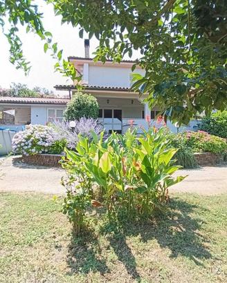 Villa di 300 m² con più di 5 locali a Bassano Roma