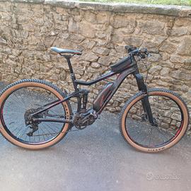 ebike