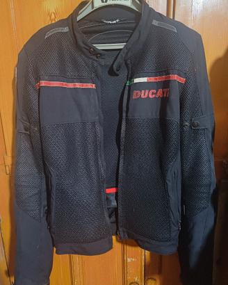 Giubbino Ducati 