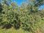 Immagine 16