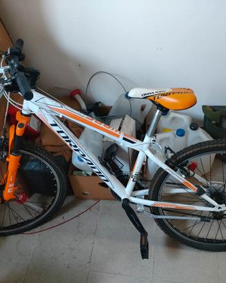  bici Mountain bike Torpado da bimbo