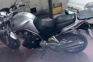 Bulldog Yamaha