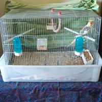 Gabbia + calopsite + accessori vari