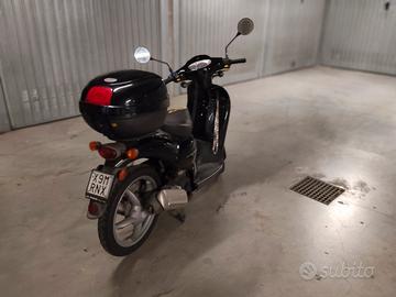 scoter