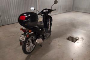 scoter