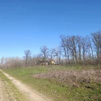 Terreno Agricolo Cergnago [RB274VRG]