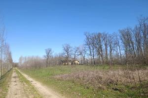 Terreno Agricolo Cergnago [RB274VRG]