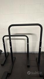 Barre Parallele Palestra