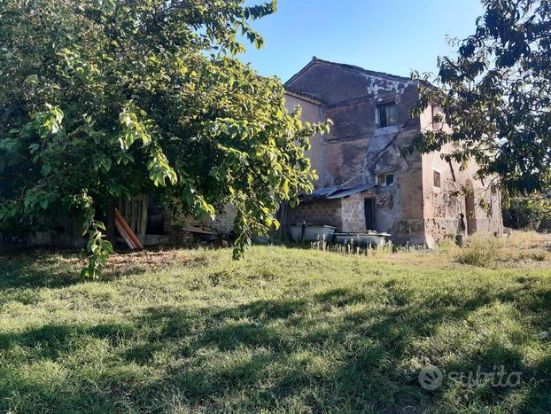 Terreno Agricolo - Montecassiano