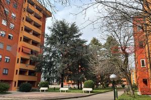 Appartamento Pioltello [Cod. rif 3298725VRG]