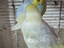 Immagine 5