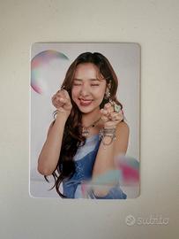 film photocard girls blush blossom fan fest 2025