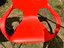 Immagine 6