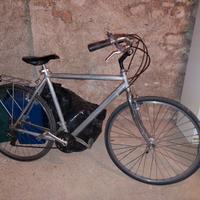 Bici da uomo