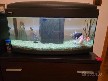 Acquario completo 