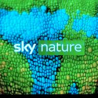 PANASONIC VIERA PLASMA 42 