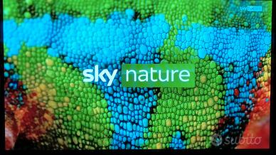 PANASONIC VIERA PLASMA 42 