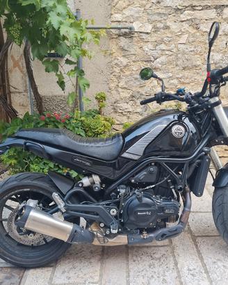 Benelli Leoncino 500 (2021)