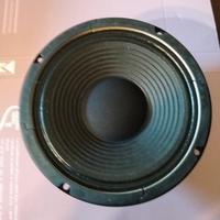 speaker per chitarra 