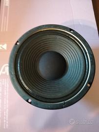 speaker per chitarra 