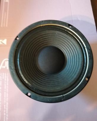 speaker per chitarra 
