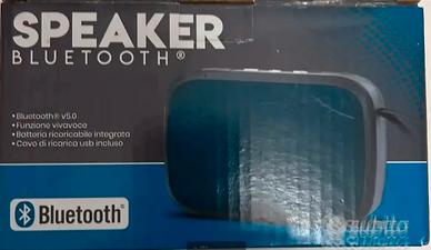 Cassa speaker