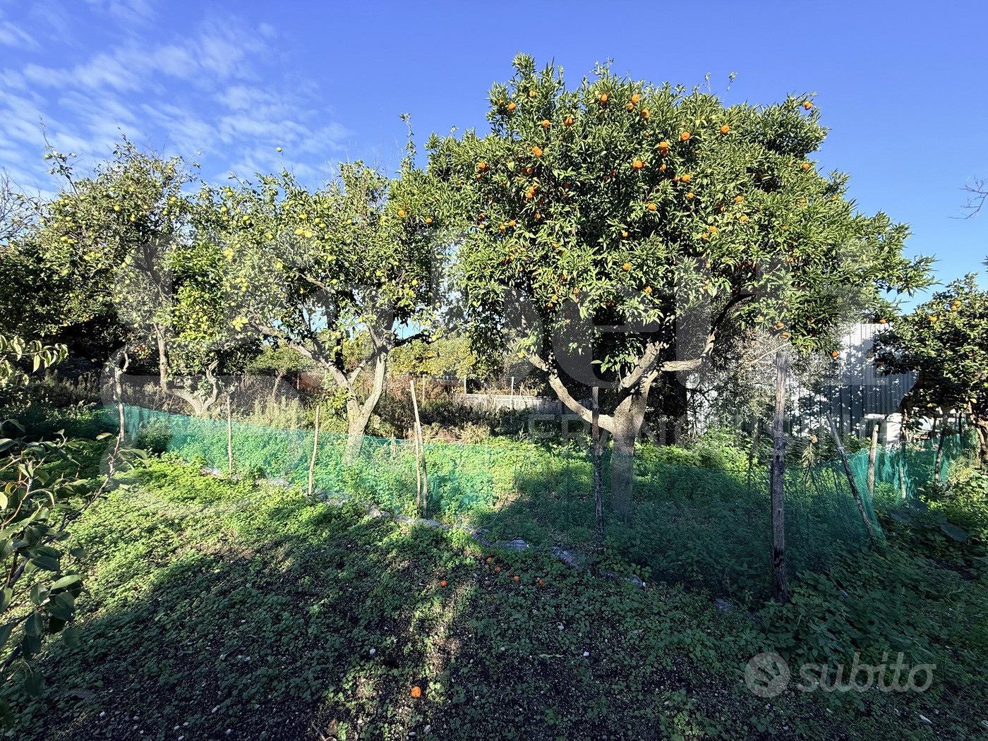 Terreno Agricolo Sant'Egidio del Monte Albino - Vista 3