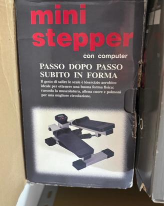 Mini step