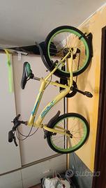 bicicletta