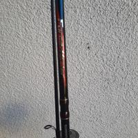 Canna da spinning e mulinello Shimano