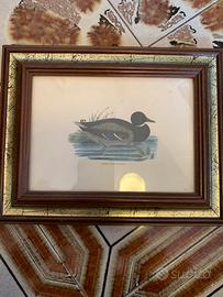 Quadro