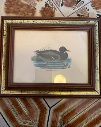 Quadro