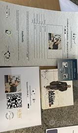 CD Pino Daniele autografato(Certificato)