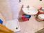 Immagine 14