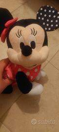 minny che cammina 