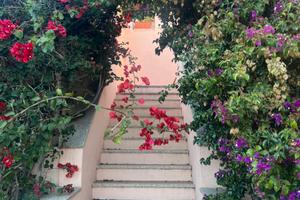 Porto Rotondo centro per 4 pax