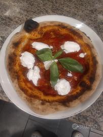 pizzaiolo 