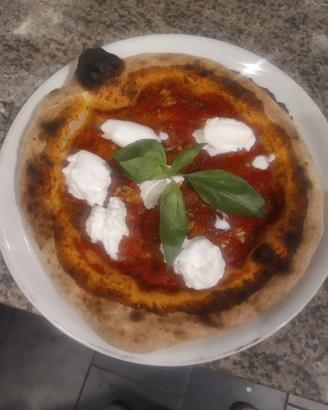 pizzaiolo 