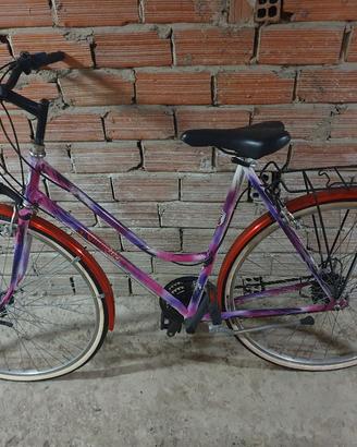 Bici Mountain Bike