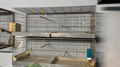 Gabbie da cova da 120