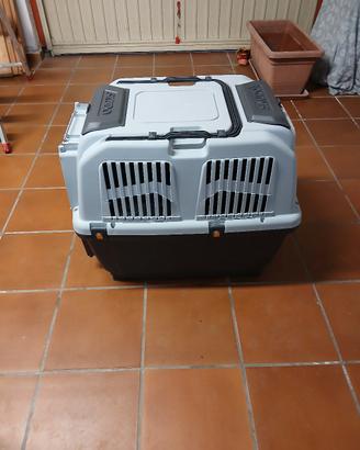 trasportino cane