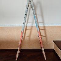 Scala Telescopica in Acciaio, come da foto.