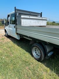 Ford Transit, cassonato