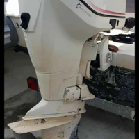 Ricambi Evinrude 250 e tec