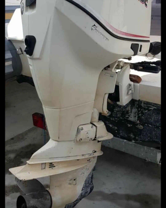 Ricambi Evinrude 250 e tec