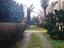 Immagine 9