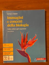 Libri