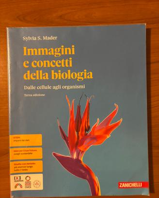 Libri