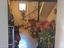 Immagine 15