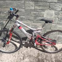 bicicletta